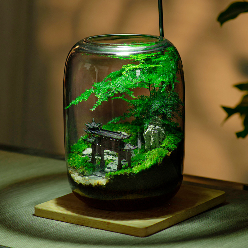 Stikla sūnas mikro ainavu ekoloģiskā pudele – galda biroja pundurkociņš (Materiāls: stikls, Amatniecība: Cits, Importēts: Nē, Dāvana: Nē, IP autorizācija: Nē)