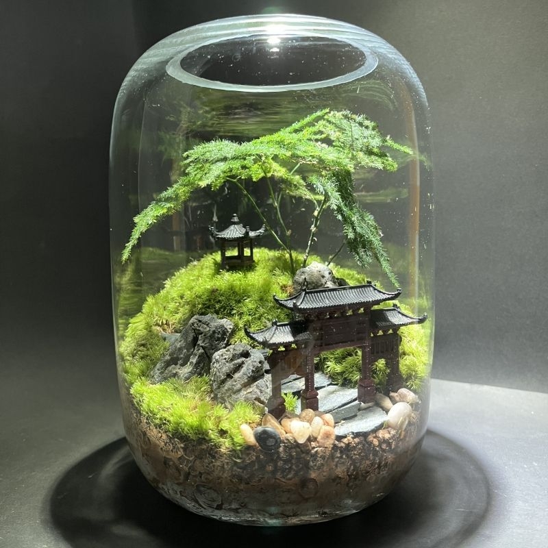 Stikla sūnas mikro ainavu ekoloģiskā pudele – galda biroja pundurkociņš (Materiāls: stikls, Amatniecība: Cits, Importēts: Nē, Dāvana: Nē, IP autorizācija: Nē)