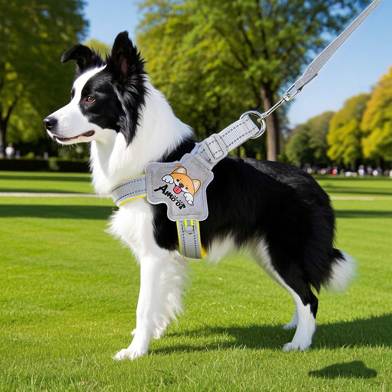 Hamă de piept din nylon pentru câini, Model Sq202506161504, Brand Simple Image, Origine Zhejiang, Pachet de 5 buc.