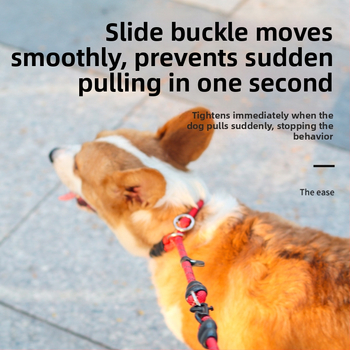 Guler pentru câine și lesă de dresaj din nylon, model monocrom, brand Youbaolong