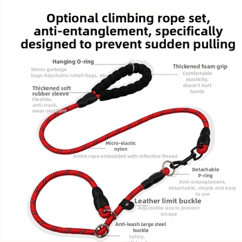 Guler pentru câine și lesă de dresaj din nylon, model monocrom, brand Youbaolong