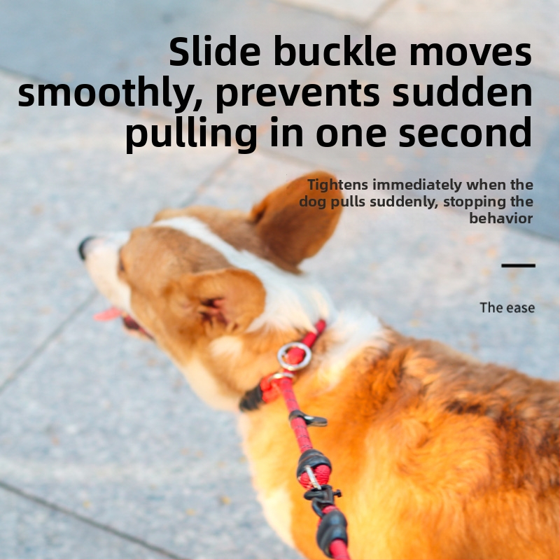 Guler pentru câine și lesă de dresaj din nylon, model monocrom, brand Youbaolong