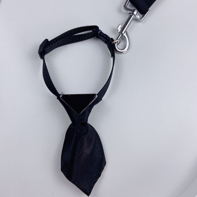 Nylon kutya nyakörv és póráz készlet – bővíthető, 100 darabos csomag