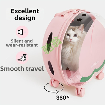 Rucsac pentru animale de companie în formă de capsulă spațială — Material PP, Brand Chi Weng, Geantă pentru animale, Nu este importat