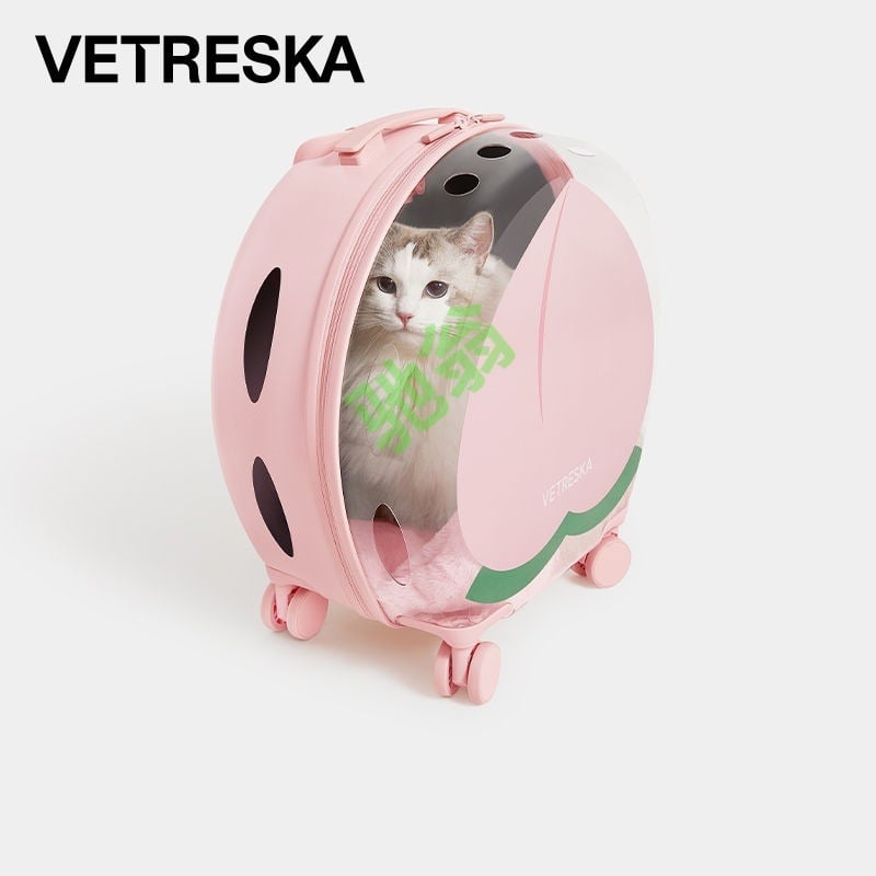 Rucsac pentru animale de companie în formă de capsulă spațială — Material PP, Brand Chi Weng, Geantă pentru animale, Nu este importat