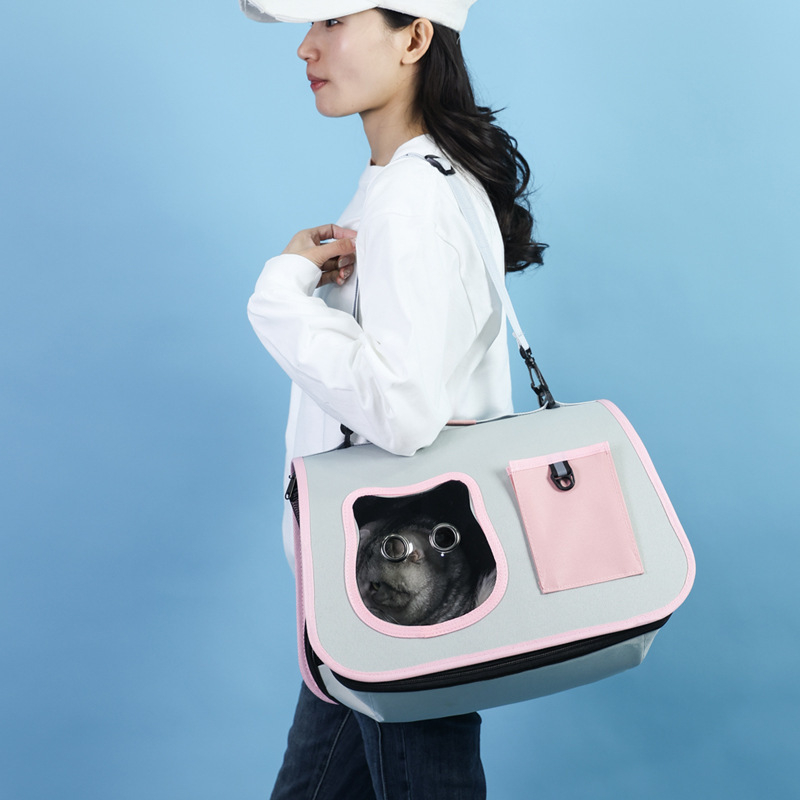 Τσάντα για κατοικίδια crossbody, αναπνεύσιμο PC υλικό, σχέδιο κάψουλας διαστήματος, Hongyue Special Pet