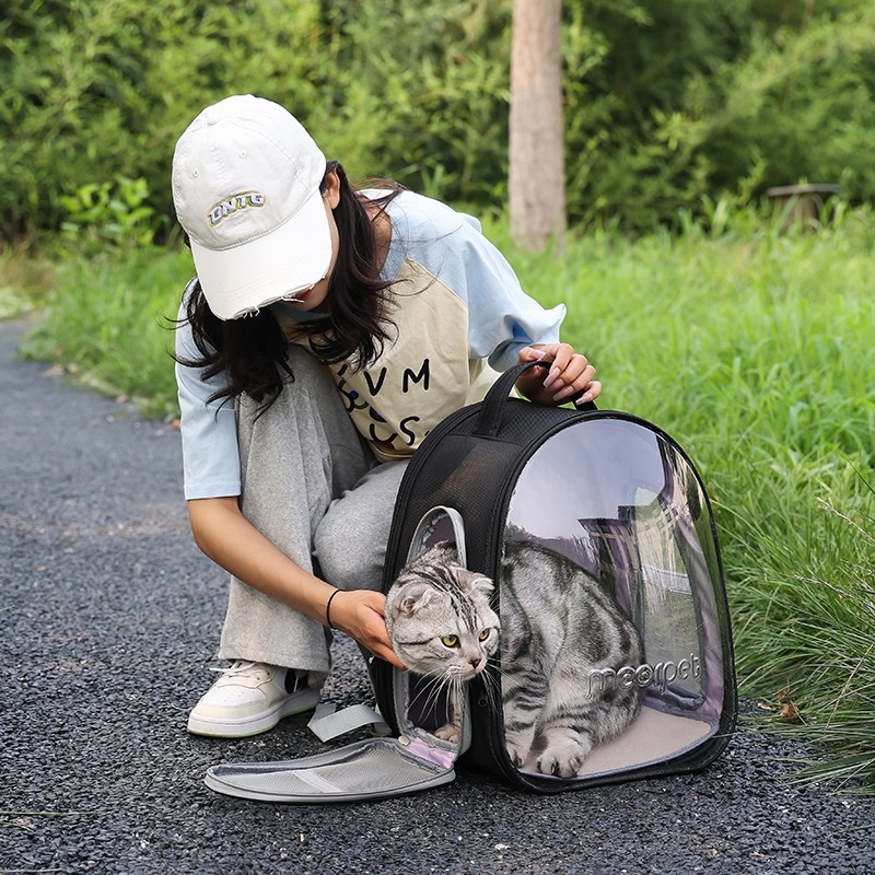 Τσάντα μεταφοράς γάτας, PVC, Μεσαίας χωρητικότητας, Μονοχρωματικό σχέδιο, Μεσαία σκληρότητα