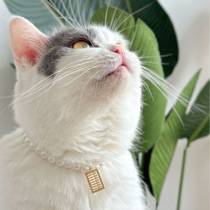 Colier pentru animale Peg Kitten cu perle, stil prințesă Quinn, stratificat retro, pentru pisici și câini (Brand: Peg Kitten; Material: Perle; Potrivit pentru uz general)