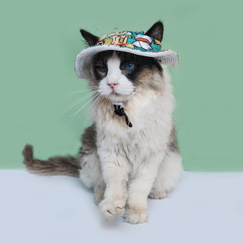 Pălărie de vară pentru animale de companie – model desen animat, poliester, țesătură twill, imprimare, vară