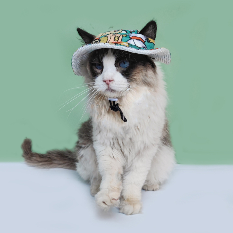 Pălărie de vară pentru animale de companie – model desen animat, poliester, țesătură twill, imprimare, vară