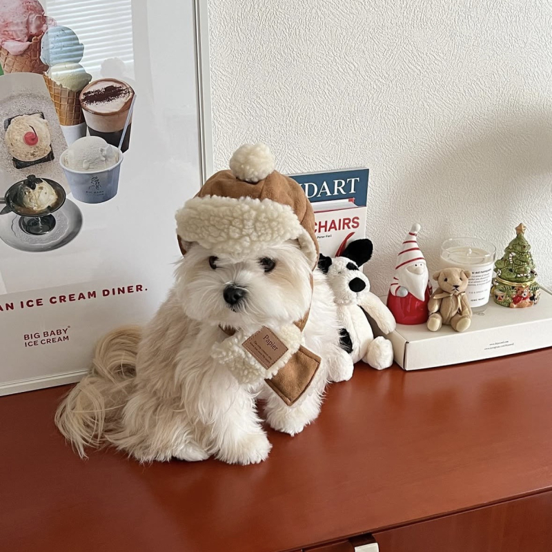 Set pălărie și fular pentru animale de companie, stil coreean nubuk, lână de miel, twill monocrom cu emboss, utilizare pentru toate anotimpurile