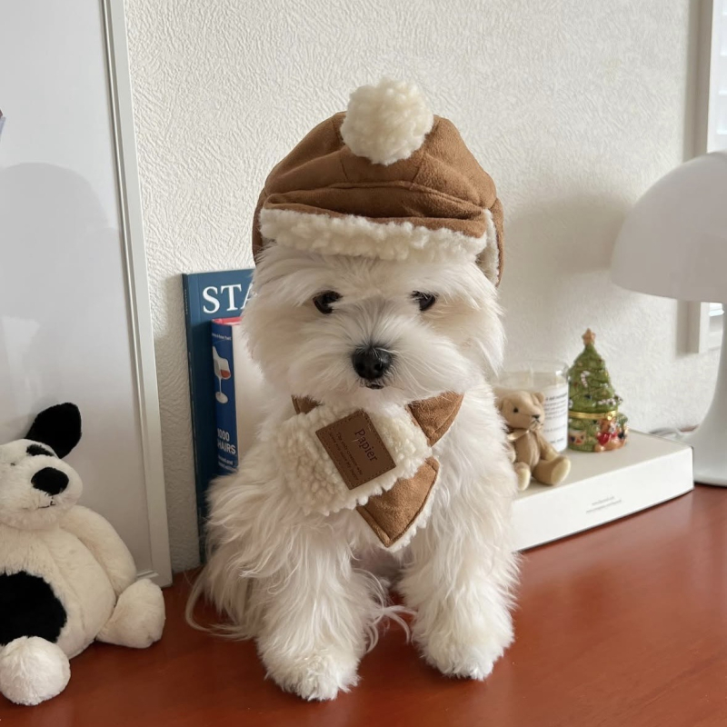 Set pălărie și fular pentru animale de companie, stil coreean nubuk, lână de miel, twill monocrom cu emboss, utilizare pentru toate anotimpurile