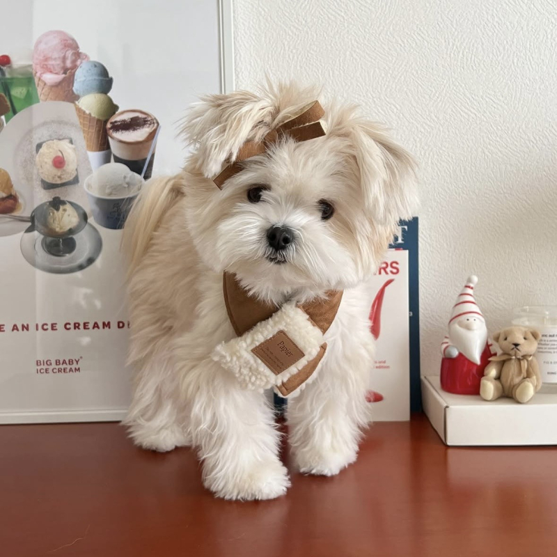 Set pălărie și fular pentru animale de companie, stil coreean nubuk, lână de miel, twill monocrom cu emboss, utilizare pentru toate anotimpurile