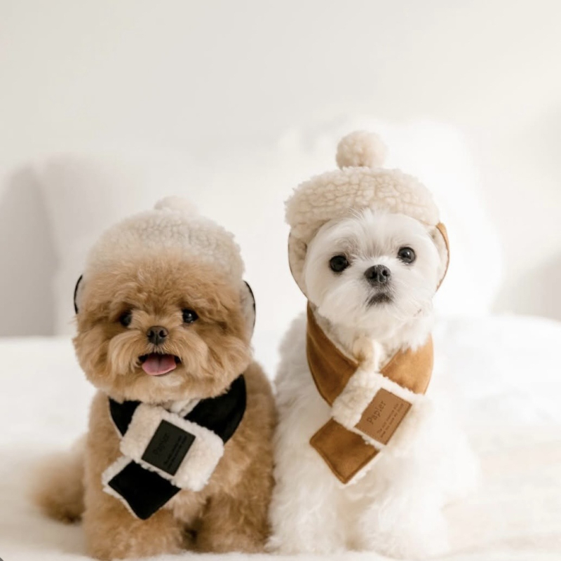 Set pălărie și fular pentru animale de companie, stil coreean nubuk, lână de miel, twill monocrom cu emboss, utilizare pentru toate anotimpurile