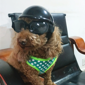 Casca pentru animale de companie – pisici și câini mici până la medii – Material plastic; Utilizare generală; Potrivită pentru toate cele patru anotimpuri; Fără import; Fără licență IP