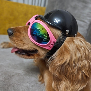 Casca pentru animale de companie – pisici și câini mici până la medii – Material plastic; Utilizare generală; Potrivită pentru toate cele patru anotimpuri; Fără import; Fără licență IP