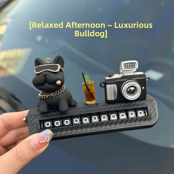 Automobiļa numura zīme ar tālruņa numuru — slēpts displejs, plastmasa, bez pielāgošanas, īslaicīgai stāvēšanai