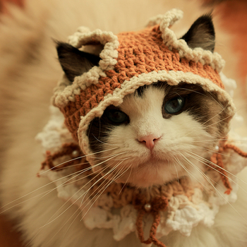 Șapcă tricotată pentru animale de companie cu guler pentru pisici și câini, model color-matching, din lână, lucrată manual, set