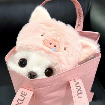 Accesoriu pentru cap pentru câini în formă de rechin – jucărie pluș pentru animale de companie, stil păpușă, primăvară și toamnă