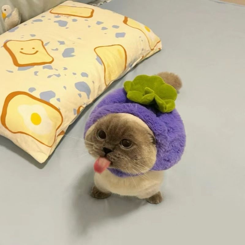 Accesoriu pentru cap pentru câini în formă de rechin – jucărie pluș pentru animale de companie, stil păpușă, primăvară și toamnă