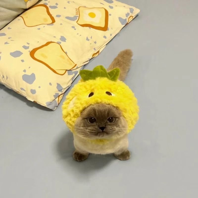 Accesoriu pentru cap pentru câini în formă de rechin – jucărie pluș pentru animale de companie, stil păpușă, primăvară și toamnă