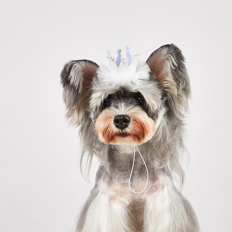 Șapcă pentru animale de companie din plasă, model monocrom, material nețesut, țesătură simplă, embossare, stil prințesă