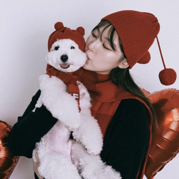 Pălărie tricotată pentru animale de companie, cu bulă de blană, pentru pisici și câini, iarnă, lână monocromă, țesătură plată grea, jacquard