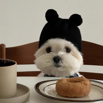 Pălărie tricotată pentru animale de companie, cu bulă de blană, pentru pisici și câini, iarnă, lână monocromă, țesătură plată grea, jacquard