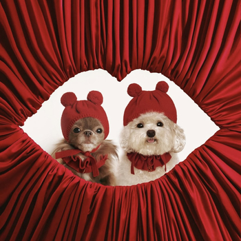 Pălărie tricotată pentru animale de companie, cu bulă de blană, pentru pisici și câini, iarnă, lână monocromă, țesătură plată grea, jacquard