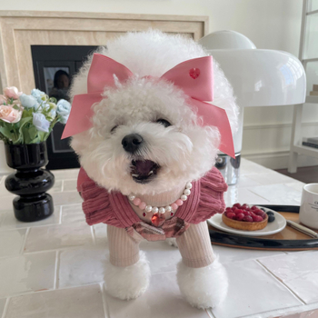 Čelenka za psa s mašnicom, korejski prince stil, podesiva elastika, materijal poliester-bavlna