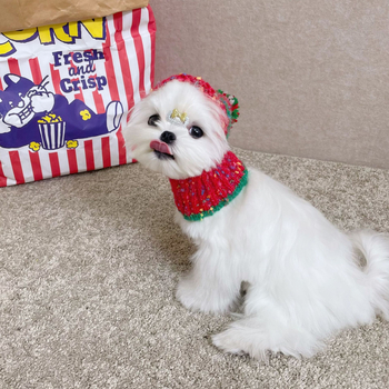 Kutyáknak szóló háziállat-sapka pomponnal, mintázat Color Splice, velúr fonal, szövött twill, jacquard, téli viselet