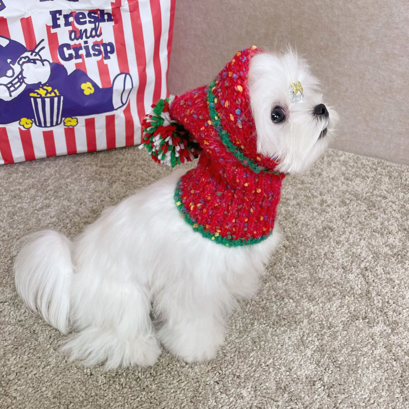 Kutyáknak szóló háziállat-sapka pomponnal, mintázat Color Splice, velúr fonal, szövött twill, jacquard, téli viselet