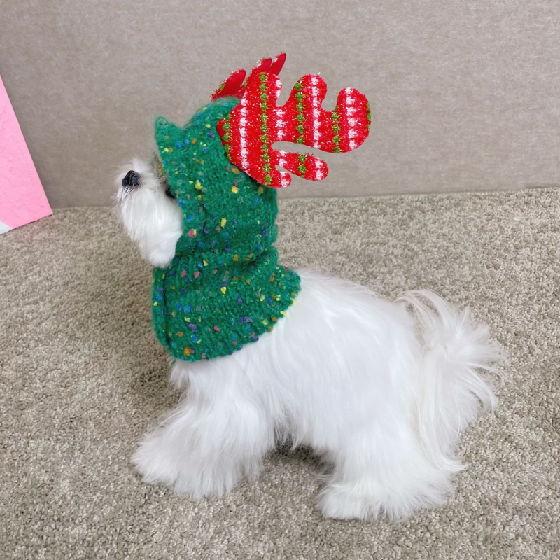 Kutyáknak szóló háziállat-sapka pomponnal, mintázat Color Splice, velúr fonal, szövött twill, jacquard, téli viselet