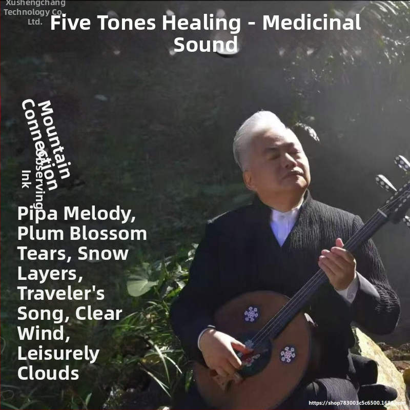 USB mūzikas disks pentatoniskajiem ķīniešu instrumentiem — piano, pipa, guzheng; augstas kvalitātes tējas istabas fona skaņa; automašīnas uzstādīšanai; bez displeja