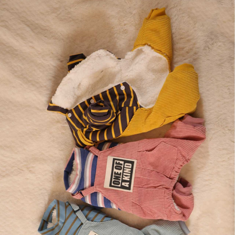 Jimmy Doll гащеризон за кучета с презрамки, Shake velvet материал, стил casual, облекло за домашни любимци