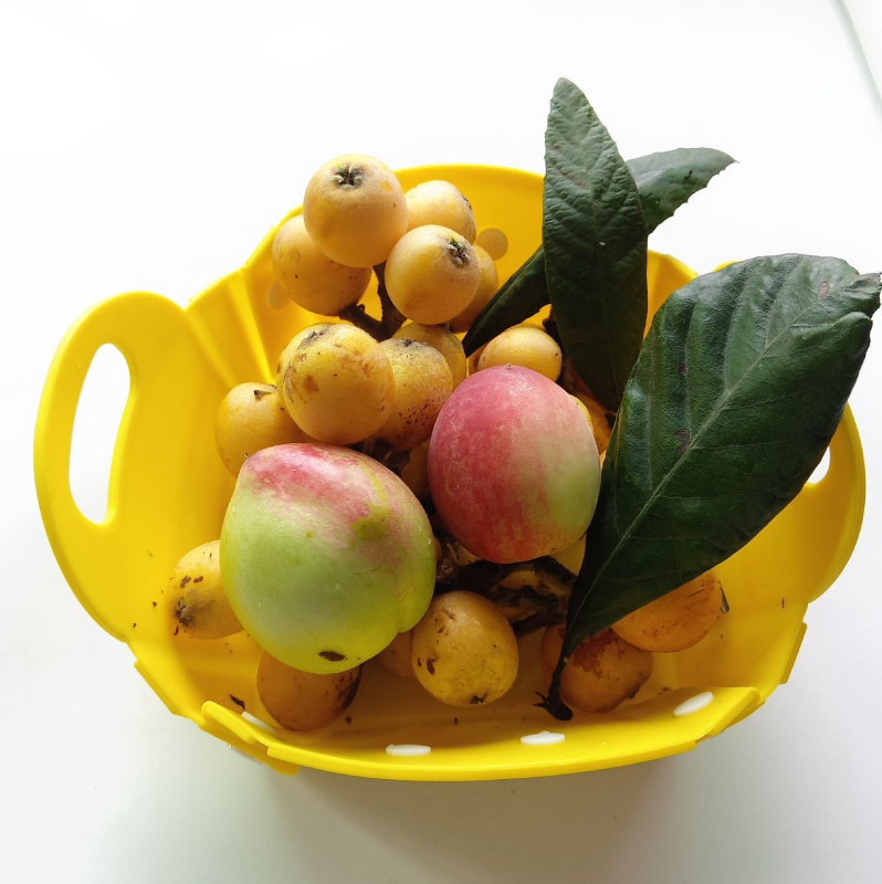 Coș de camping pentru fructe și legume, coș de depozitare portabil cu blat de tăiere detașabil, coș pentru fructe și gustări pentru picnic, pliabil — Material: TPR+PP; Categorie: Coș de depozitare; Stil: Ins style; Lansare: noiembrie 2024