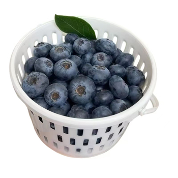 Coș circular din plastic pentru fructe cu capac, mâner, model DY-002