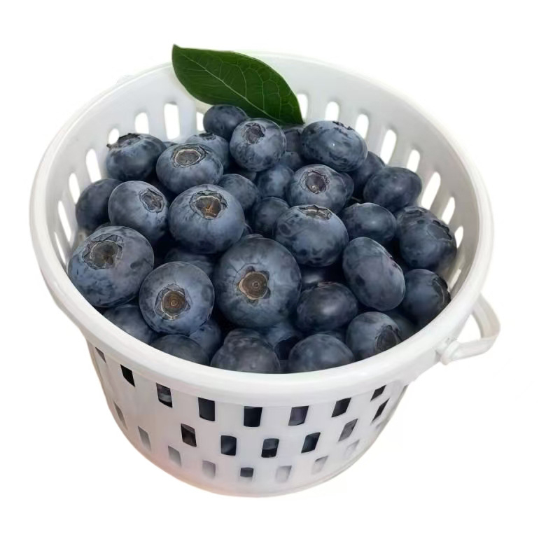 Coș circular din plastic pentru fructe cu capac, mâner, model DY-002