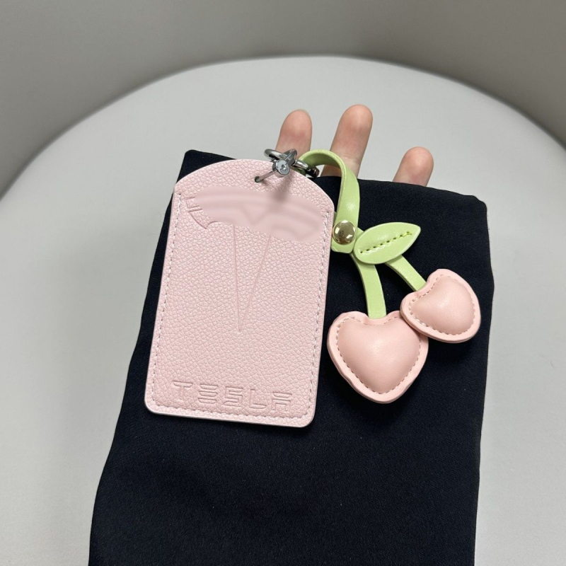 NFC etui za ključ Tesla Model 3 / Model Y, mikrovlaknena koža, etnički stil