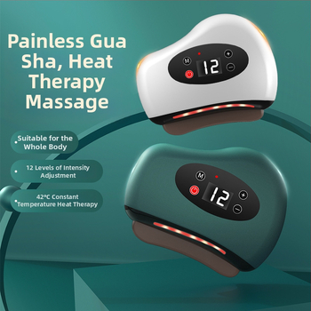 Dai Sheng портативен електрически апарат за лице и тяло с микрокурентен масажер – вградена батерия 300–500 mAh, за домашна употреба, IPX0