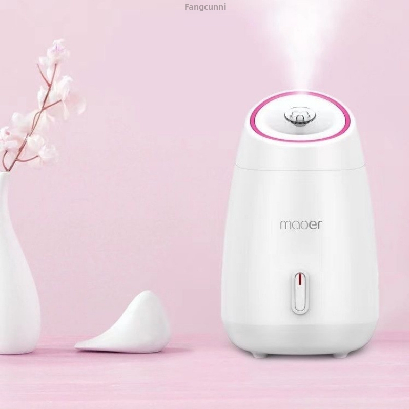 Veido odos garintuvas su karštu purškimu, drėkinantis, 5+ greičiai, migla iki 10 s, maitinamas iš tinklo