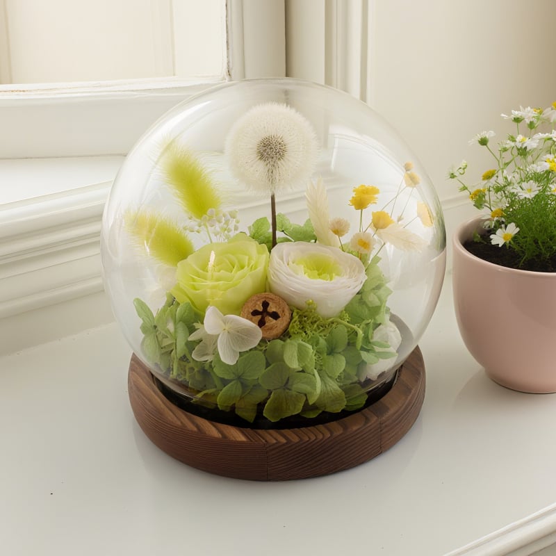 Ornament sferă de cristal cu capac de sticlă, floare veșnică; potrivit pentru nunți, zile de naștere, absolvire și cadouri pentru casă; potrivit pentru cadouri de afaceri, promoționale și distincții memoriale