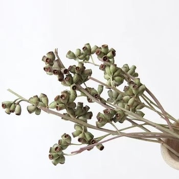 Сухи цветя за занаяти – евкалиптов плод, занаят: друго, марка Huakexin