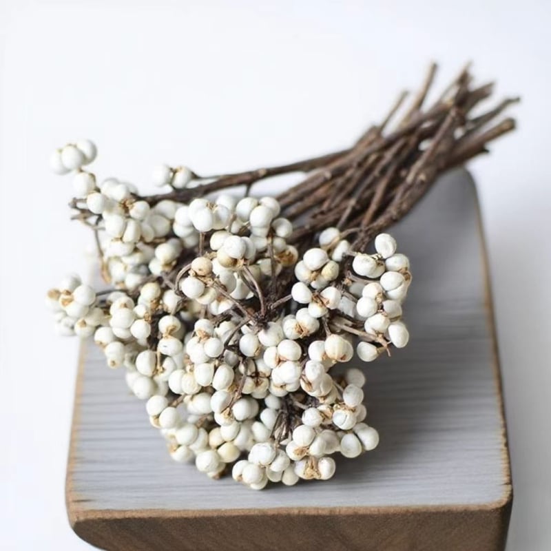 Сухи цветя за занаяти – евкалиптов плод, занаят: друго, марка Huakexin