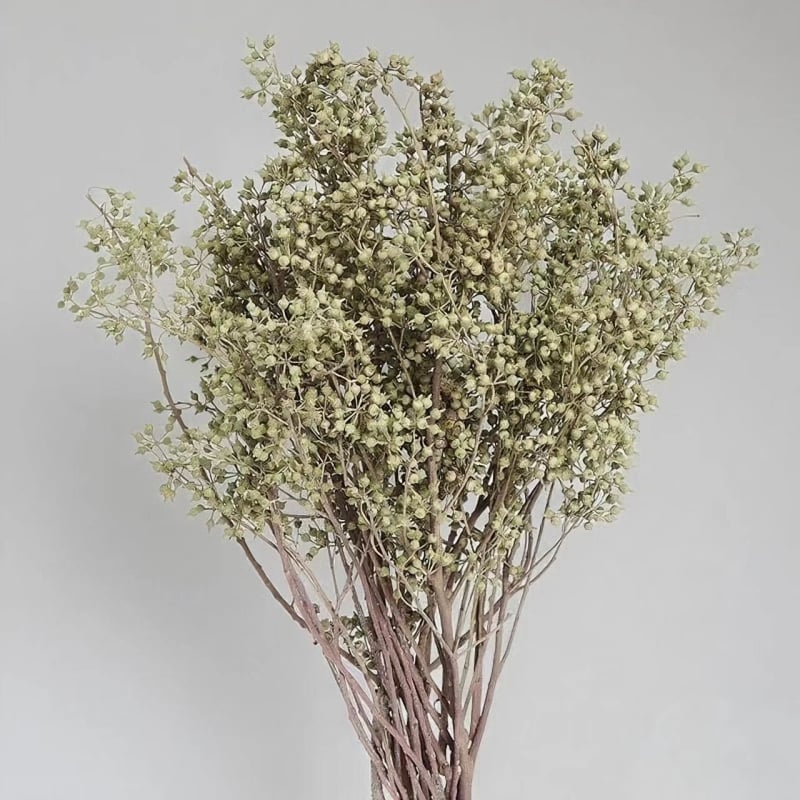 Сухи цветя за занаяти – евкалиптов плод, занаят: друго, марка Huakexin