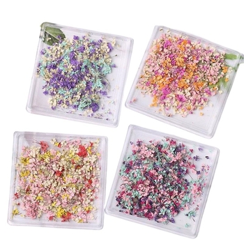 Изсушени цветя за маникюр – боядисани цветя с жилки, смесени материали, японски стил