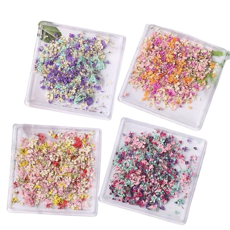 Изсушени цветя за маникюр – боядисани цветя с жилки, смесени материали, японски стил