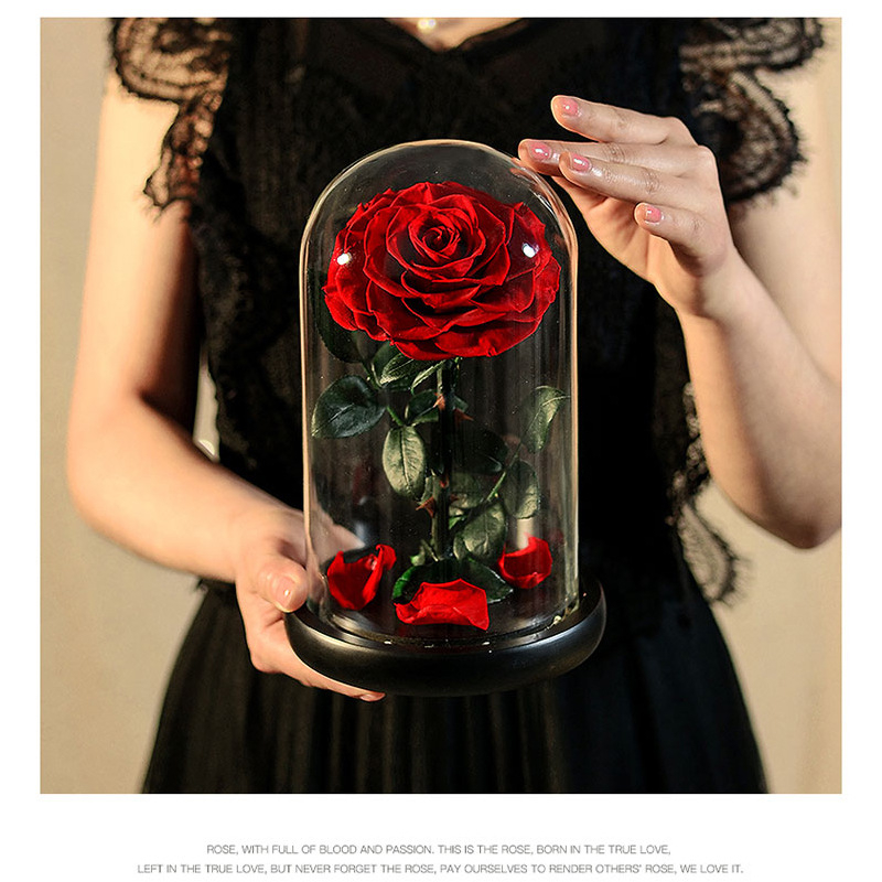 Vječna ruža u staklenu kupolu s LED svjetlom — DIY buket dar