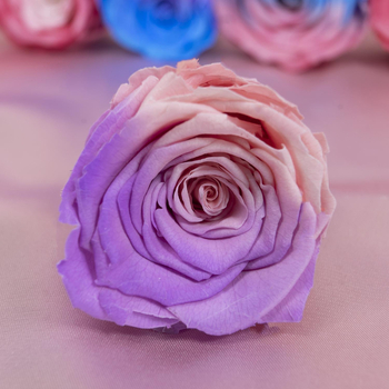 Örök virágból készült rózsa fej — anyag: örök virág; fajta: rózsa; márka: Queen of naxi; folyamat: 21892532504