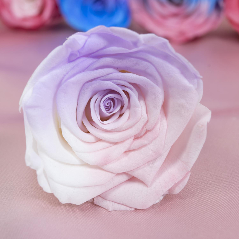 Örök virágból készült rózsa fej — anyag: örök virág; fajta: rózsa; márka: Queen of naxi; folyamat: 21892532504